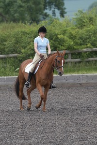 ISIS Dressage Challenge 2008